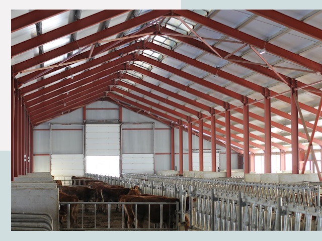 Строительство коровников в Батайске