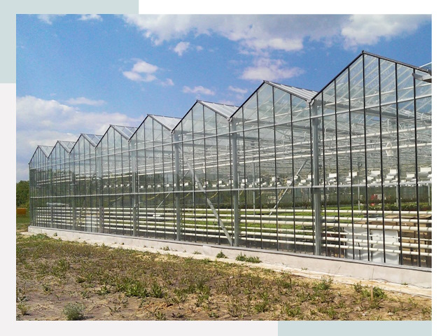 Строительство теплиц в Батайск от 607 руб. за м²