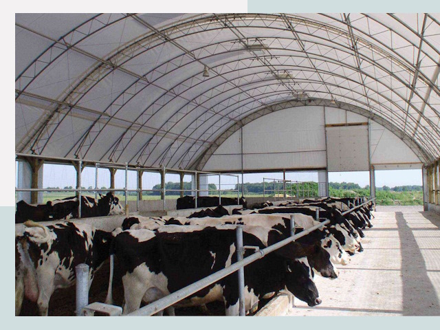 Тентовые коровники в Батайске